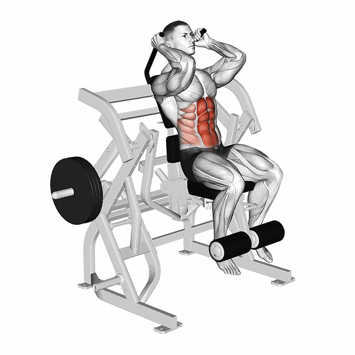 Lever Seated Leg Raise Crunch demonstration