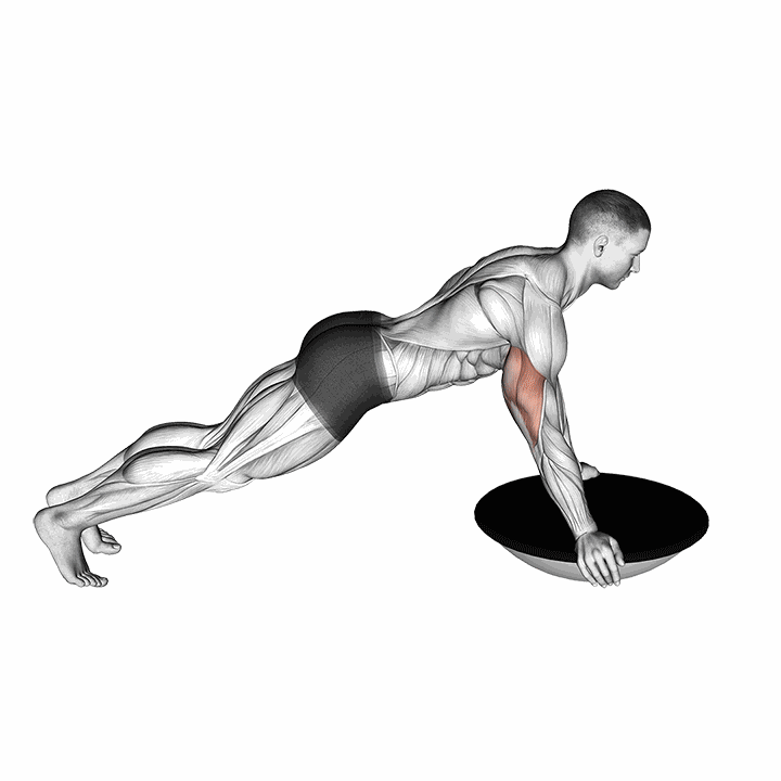 Push-up (bosu Ball) demonstration