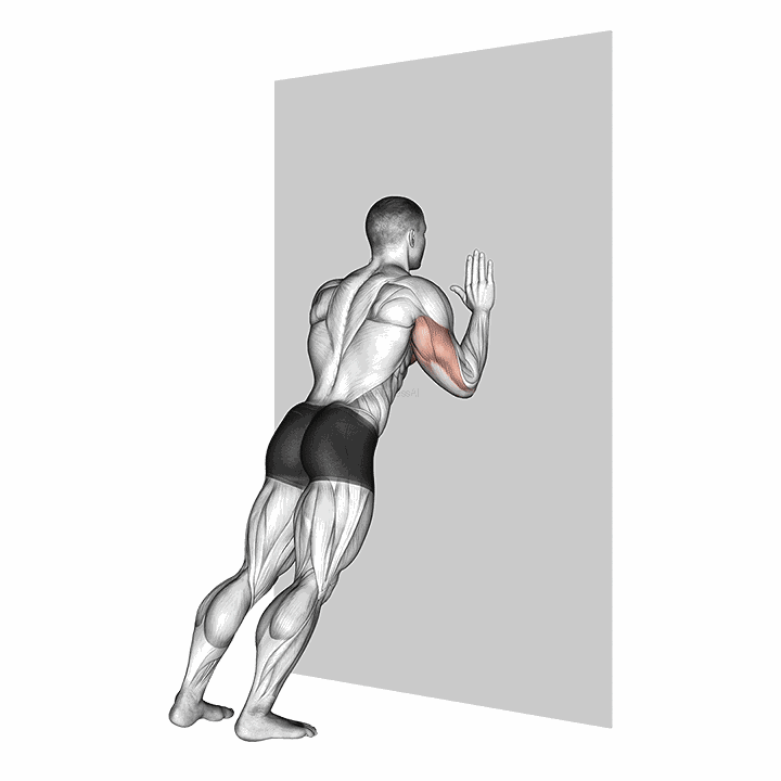 Push-up (wall) demonstration