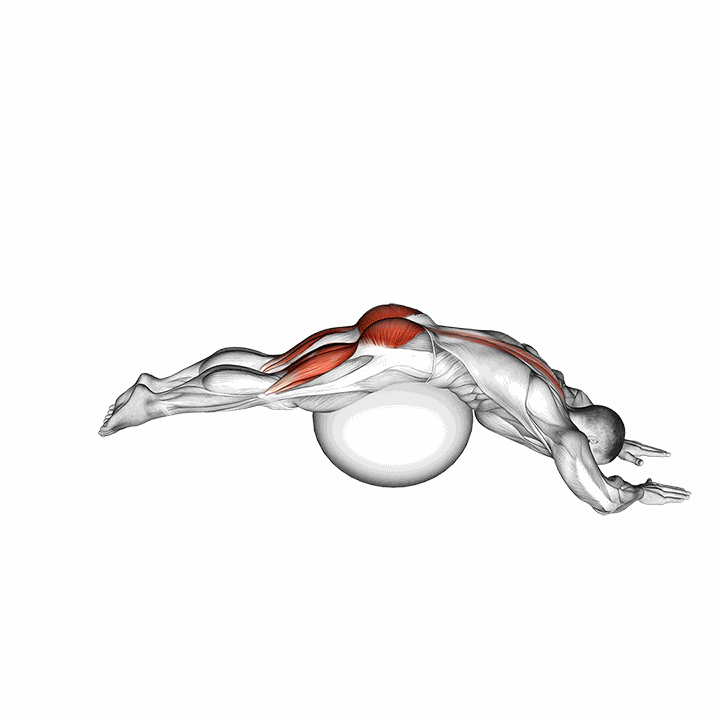 Reverse Hyper Extension (on Stability Ball) demonstration