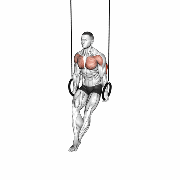 Ring Dips demonstration