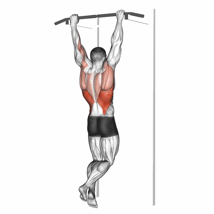 Rocky Pull-up Pulldown demonstration