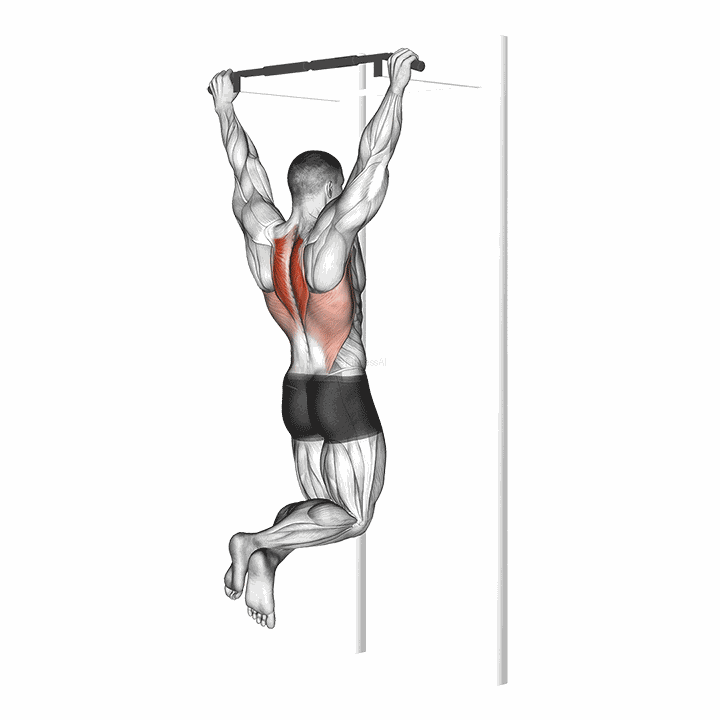 Scapular Pull-up demonstration