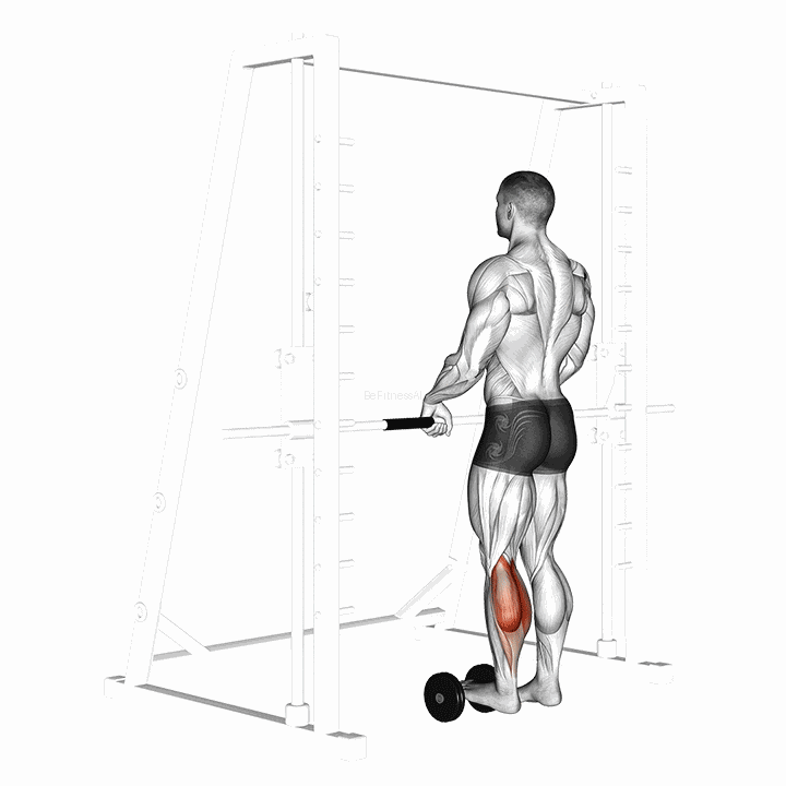 Single Leg Calf Raise (on A Dumbbell) demonstration