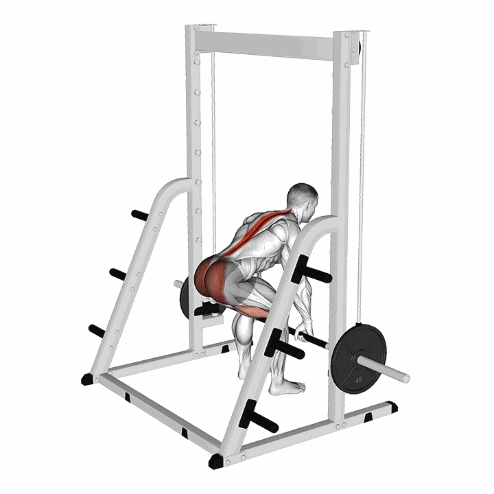 Smith Deadlift demonstration