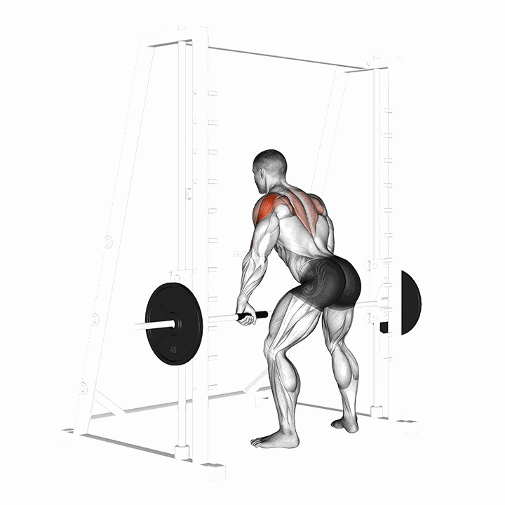 Smith Rear Delt Row demonstration