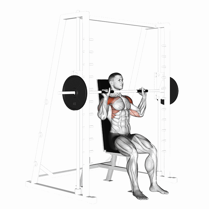 Smith Seated Shoulder Press demonstration