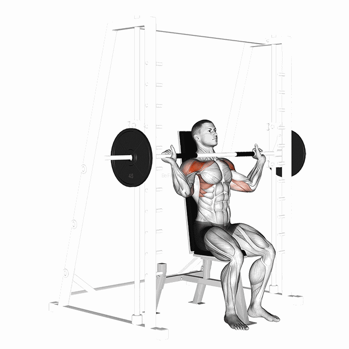 Smith Shoulder Press demonstration