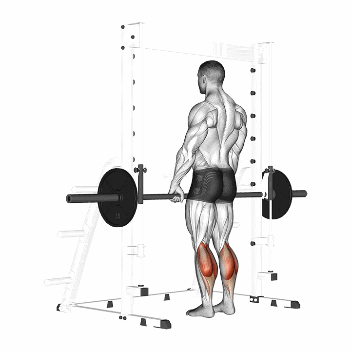 Smith Standing Leg Calf Raise demonstration