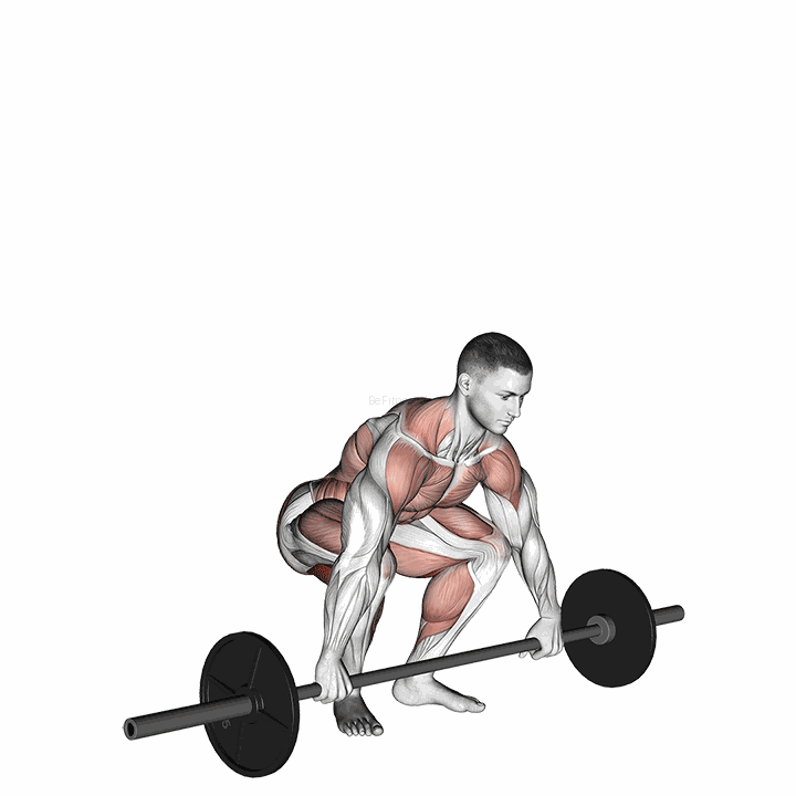 Snatch Pull demonstration