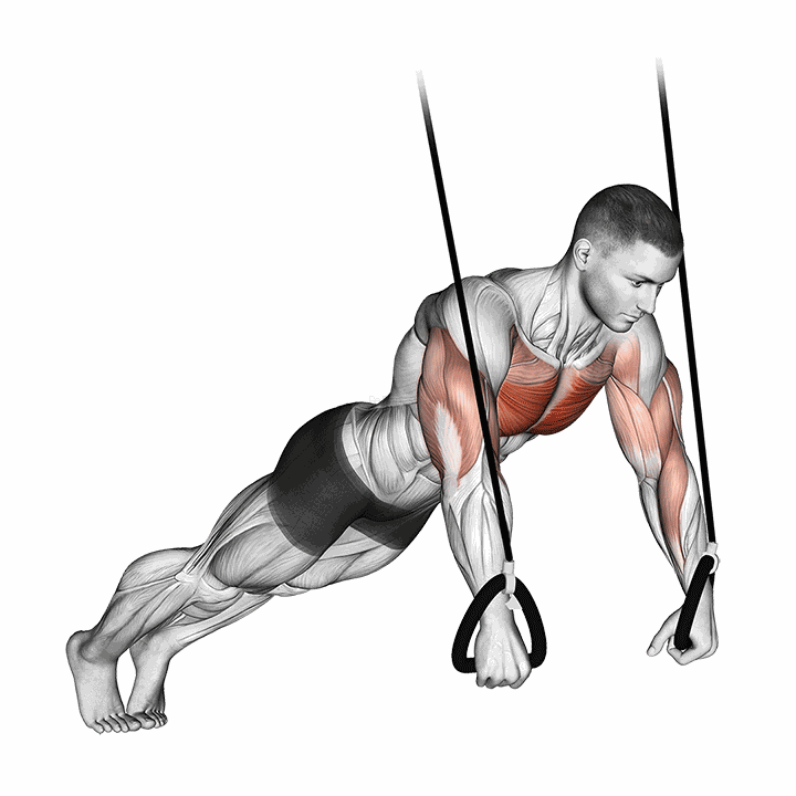 Suspended Push-up demonstration