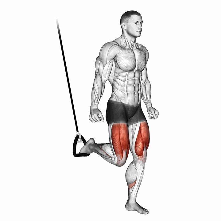Suspended Split Squat demonstration