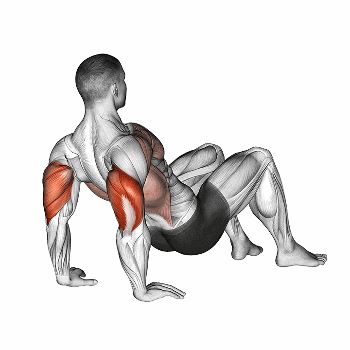 Triceps Dips Floor demonstration
