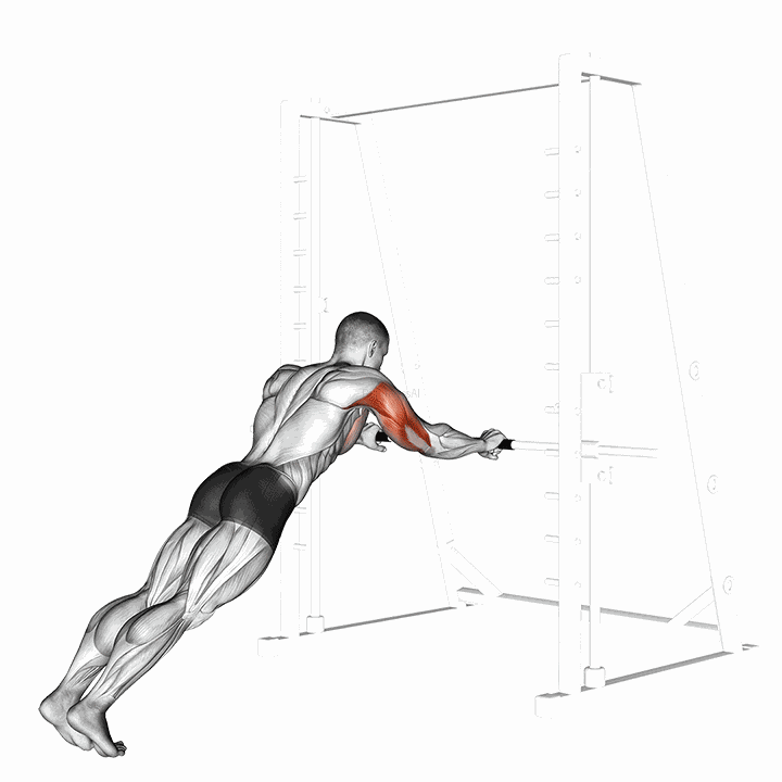 Triceps Press demonstration