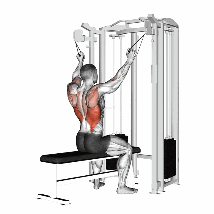 Twin Handle Parallel Grip Lat Pulldown demonstration