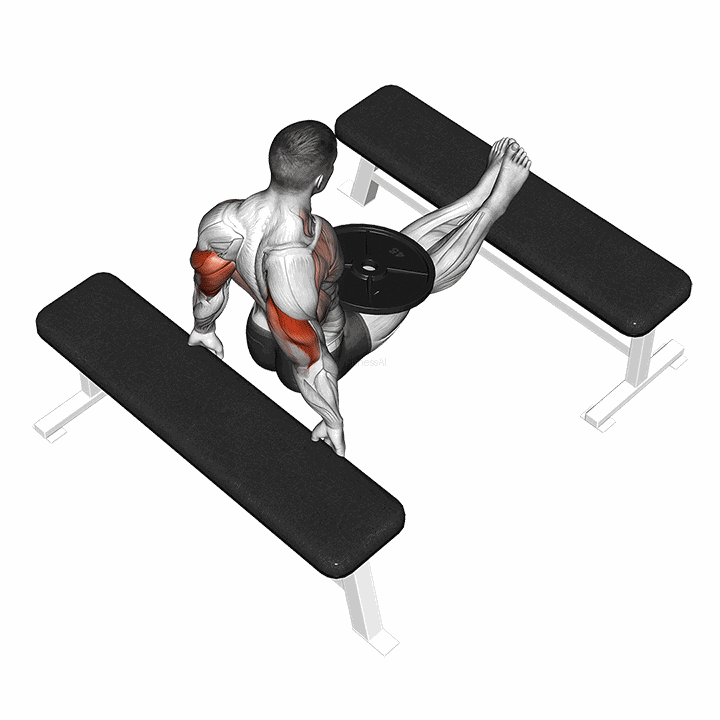 Weighted Bench Dip demonstration