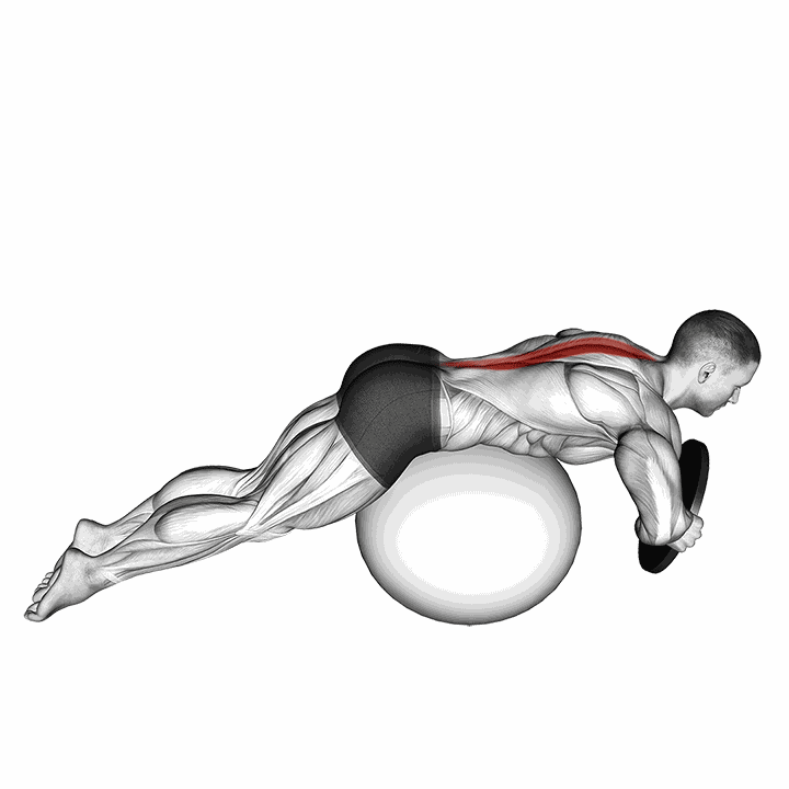Weighted Hyperextension (on Stability Ball) demonstration