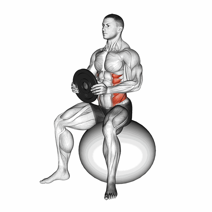 Weighted Seated Twist (on Stability Ball) demonstration
