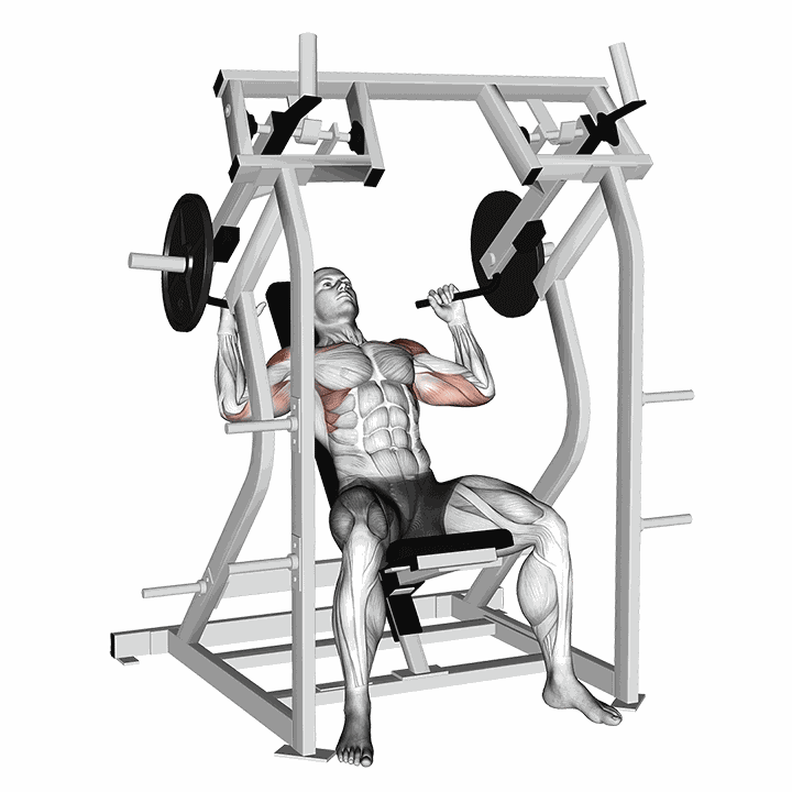 Lever Shoulder Press V. 2 demonstration