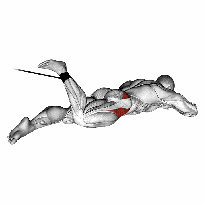 Band Lying Hip Internal Rotation demonstration