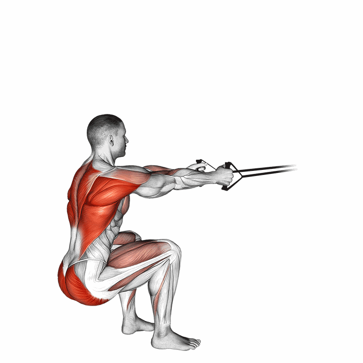 Band Squat Row demonstration