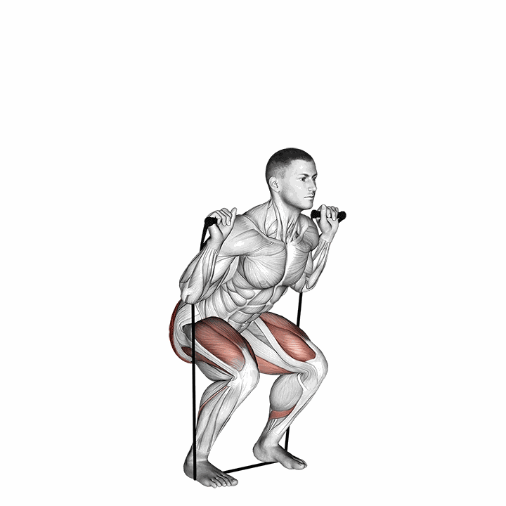 Band Squat demonstration