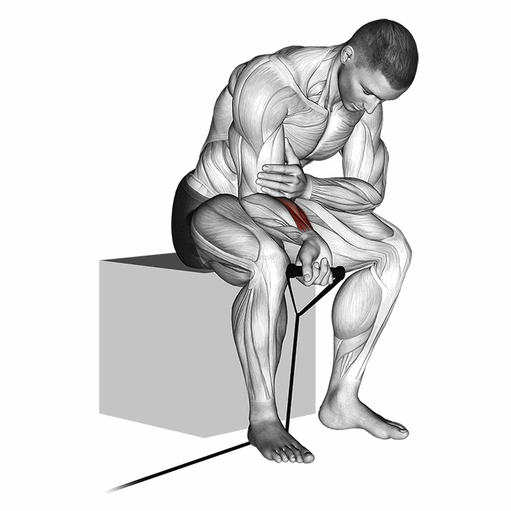 Band Wrist Curl demonstration