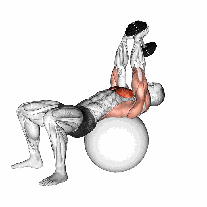 Dumbbell Pullover On Exercise Ball demonstration
