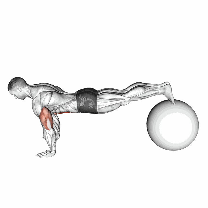 Exercise Ball Pike Push Up demonstration