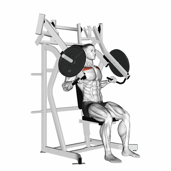 Lever Incline Chest Press demonstration