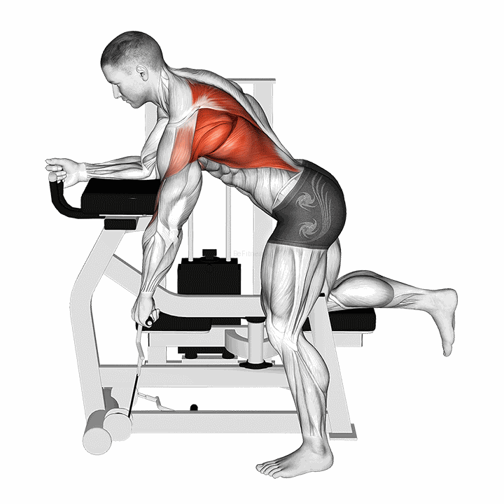 Lever Unilateral Row demonstration