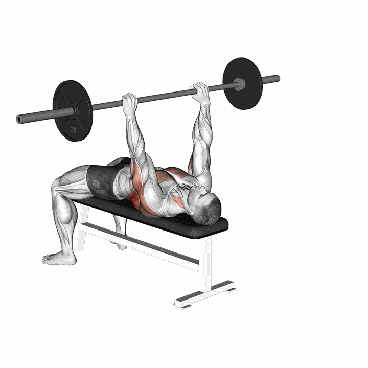 Barbell Bent Arm Pullover demonstration