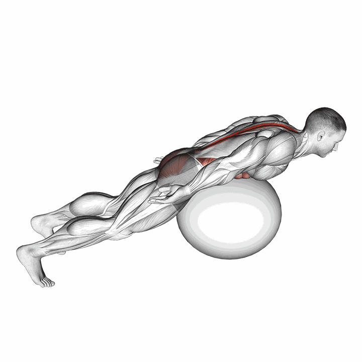 Exercise Ball Back Extension With Rotation demonstration