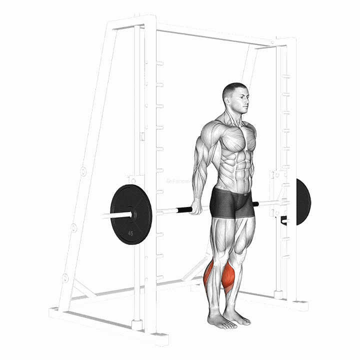Smith Reverse Calf Raises (intermediate) demonstration