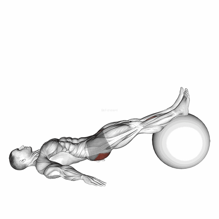 Exercise Ball One Legged Diagonal Kick Hamstring Curl demonstration