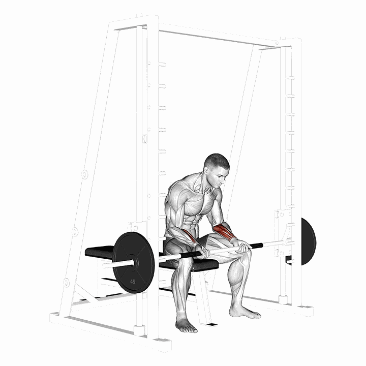 Smith Seated Wrist Curl demonstration