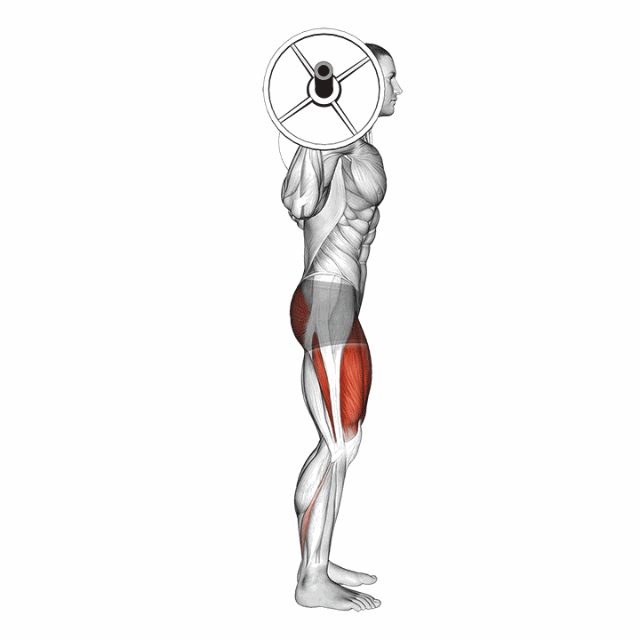 Barbell Full Squat (side Pov) demonstration