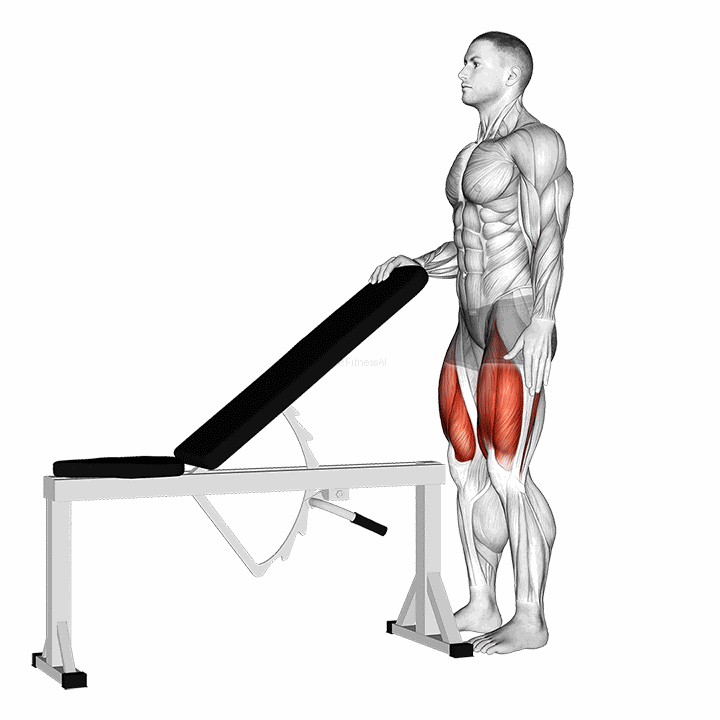 Sissy Squat demonstration