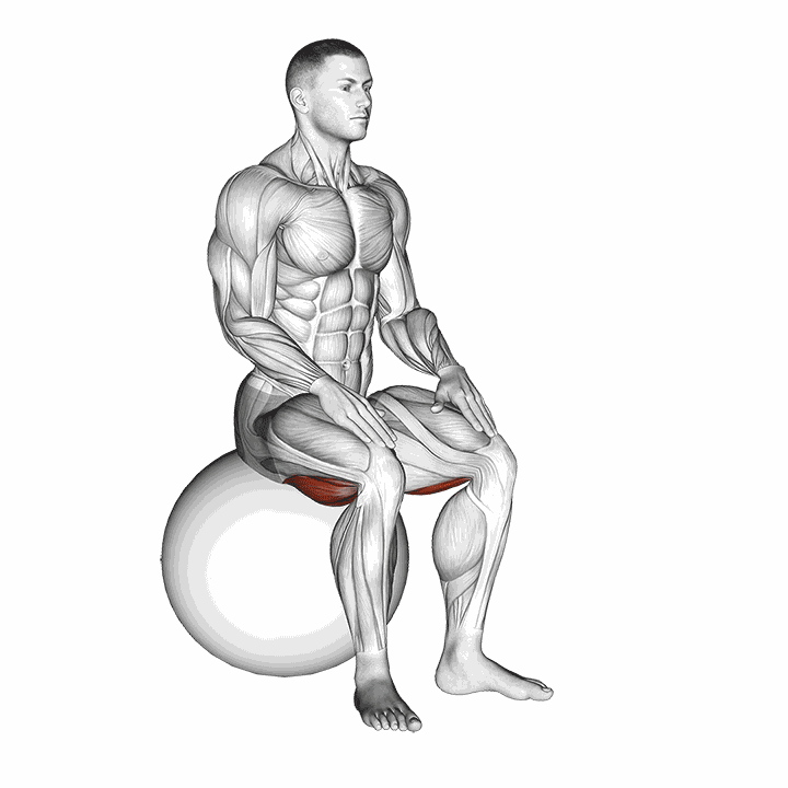 Exercise Ball Seated Hamstring Stretch demonstration