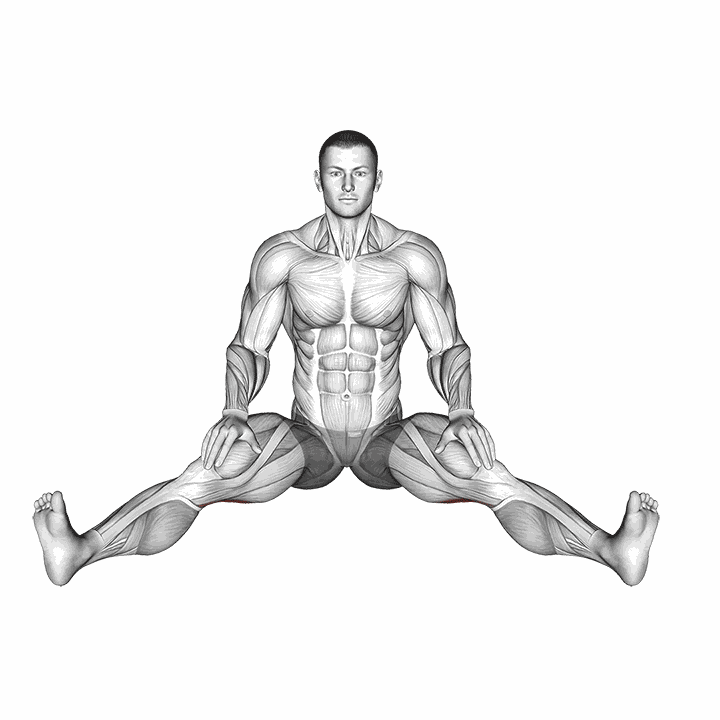 Seated Wide Angle Pose Sequence demonstration