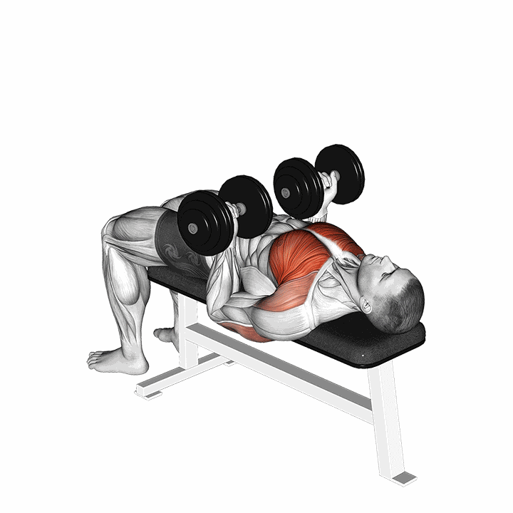 Dumbbell Reverse Bench Press demonstration
