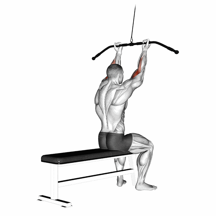 Cable Pulldown Bicep Curl demonstration