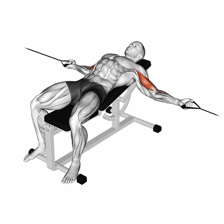 Cable Two Arm Curl On Incline Bench demonstration