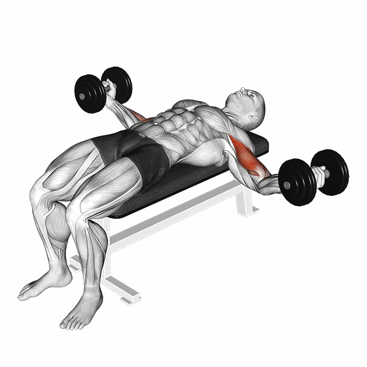 Dumbbell Lying Wide Curl demonstration