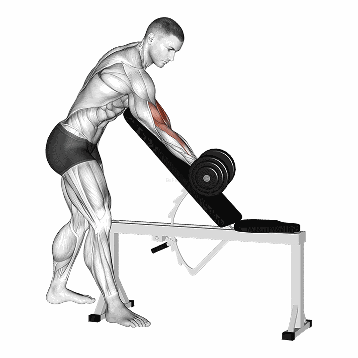 Dumbbell One Arm Zottman Preacher Curl demonstration