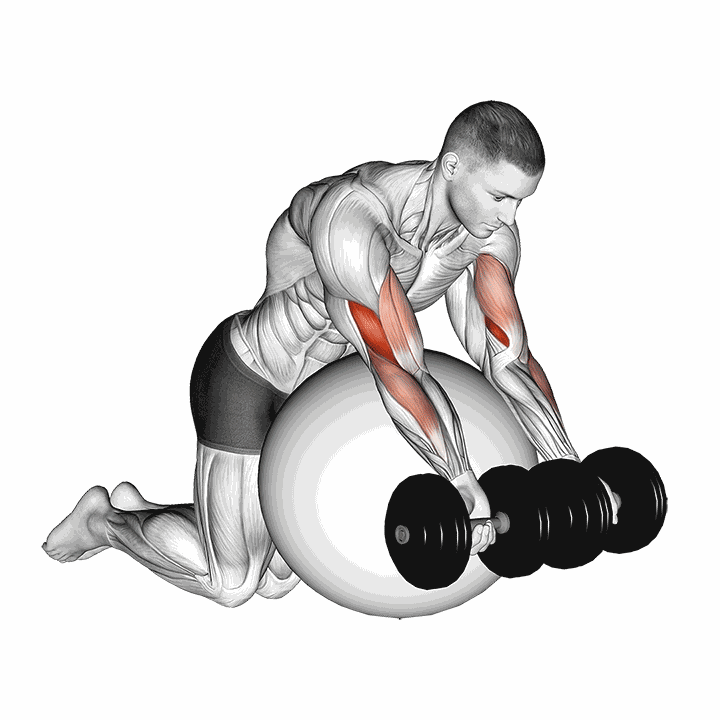 Dumbbell Preacher Curl Over Exercise Ball demonstration