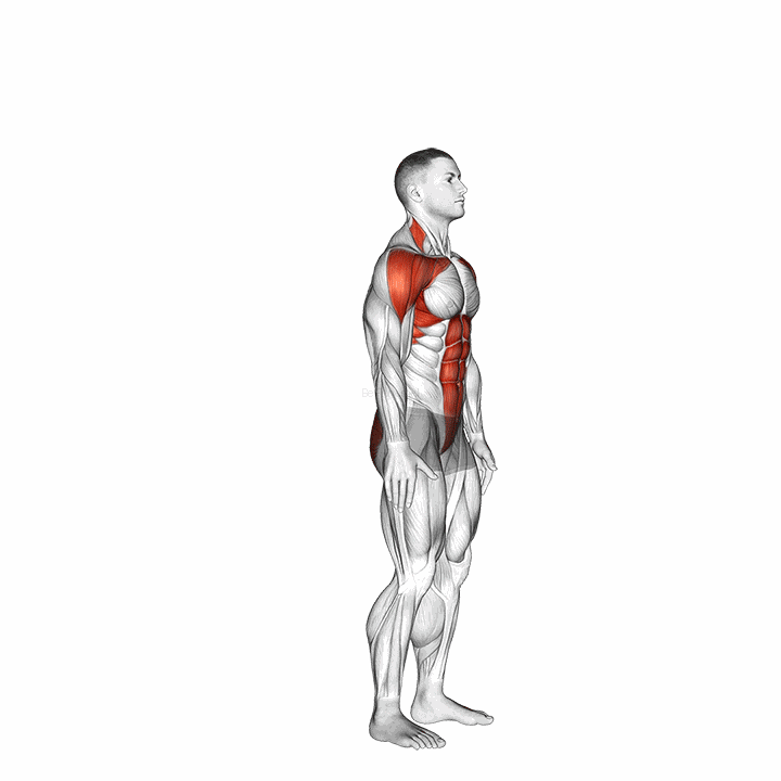 Posterior Step To Overhead Reach demonstration
