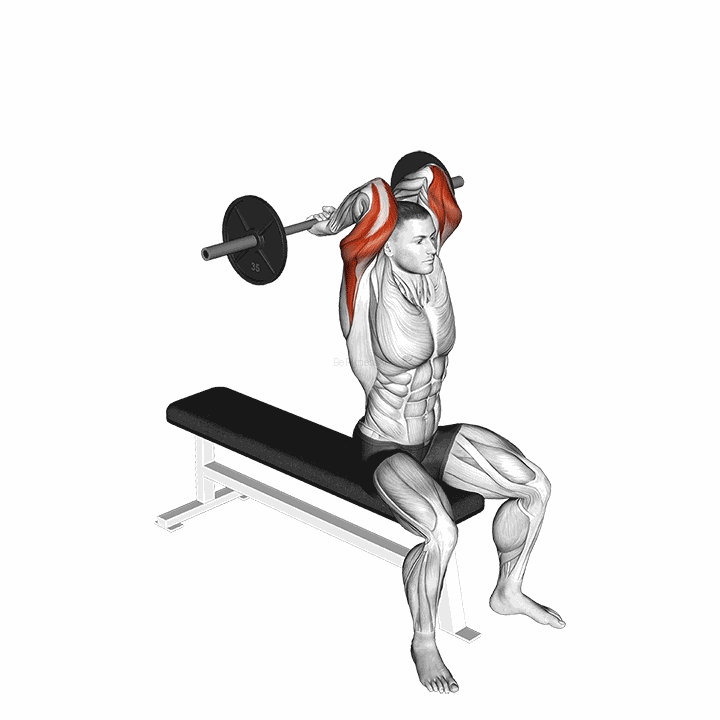 Barbell Seated Close Grip Behind Neck Triceps Extension demonstration