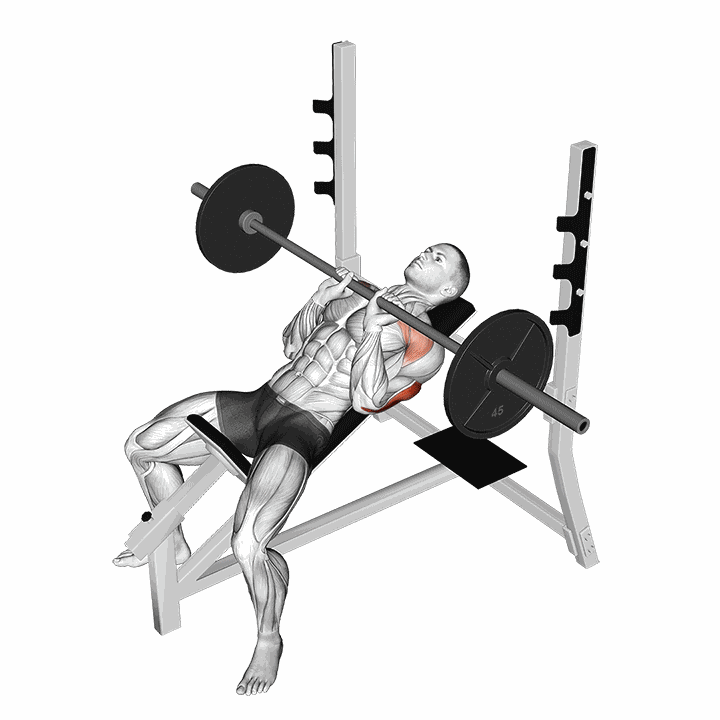 Barbell Incline Close Grip Bench Press demonstration
