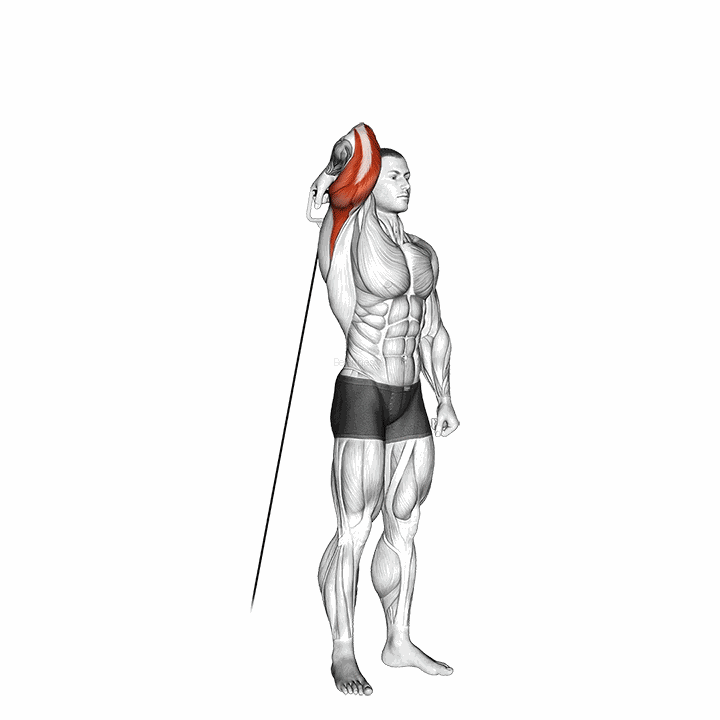 Cable Standing Reverse Grip One Arm Overhead Tricep Extension demonstration